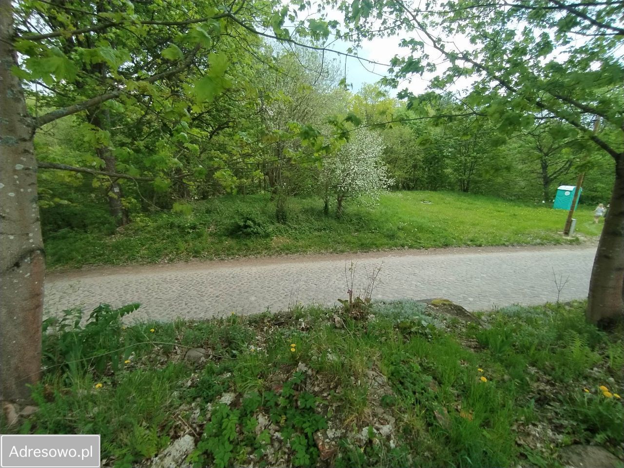 Działka rolno-budowlana Rzepowo. Zdjęcie 4