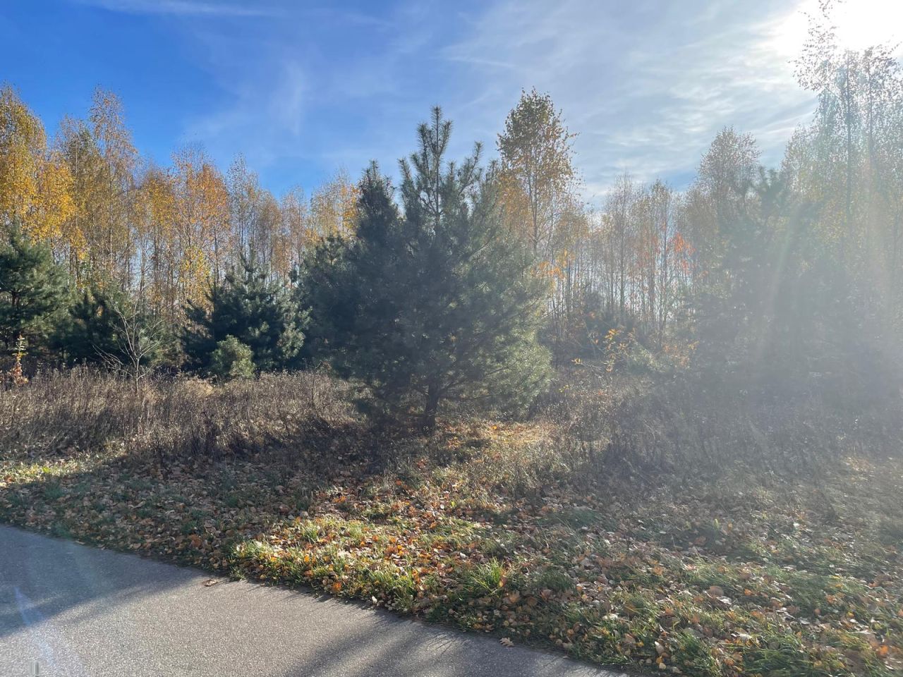 Działka budowlana Iwowe. Zdjęcie 6