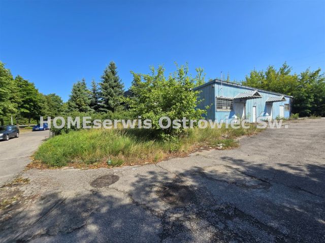 Działka inwestycyjna Ostrowiec Świętokrzyski Gutwin, ul. Jana Samsonowicza. Zdjęcie 6