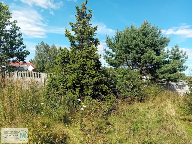 dom wolnostojący, 3 pokoje Daleszyce. Zdjęcie 14