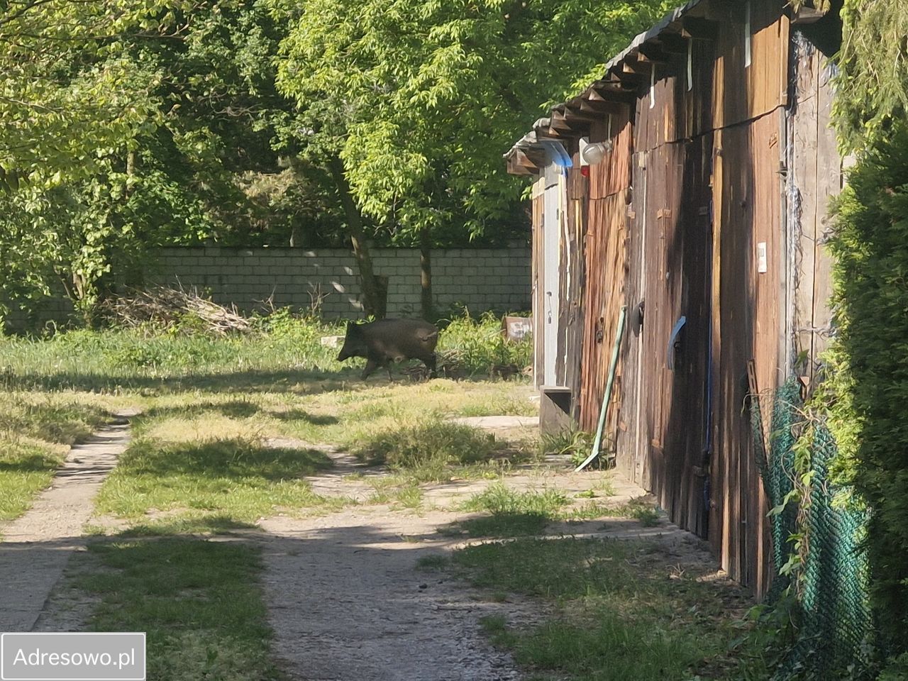 Działka inwestycyjna Legionowo Centrum, ul. Tadeusza Rejtana. Zdjęcie 4