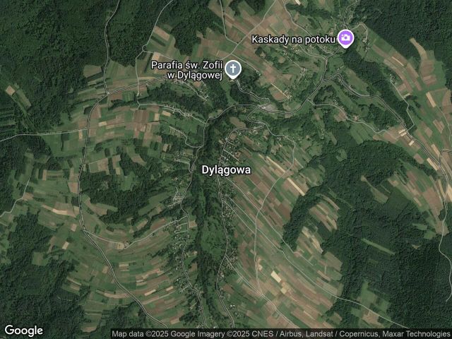 Działka leśna Dylągowa. Zdjęcie 1