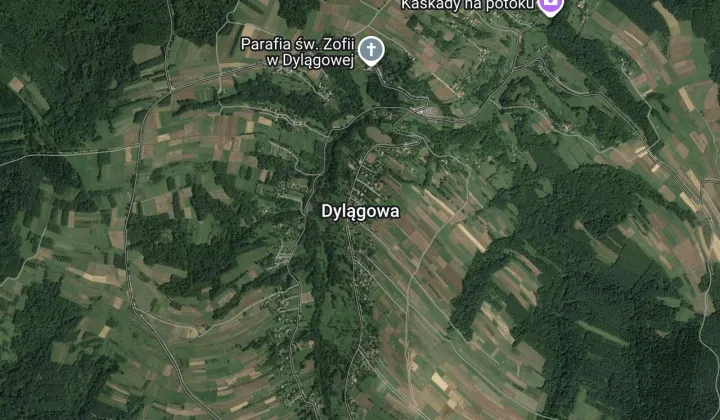 Działka leśna Dylągowa