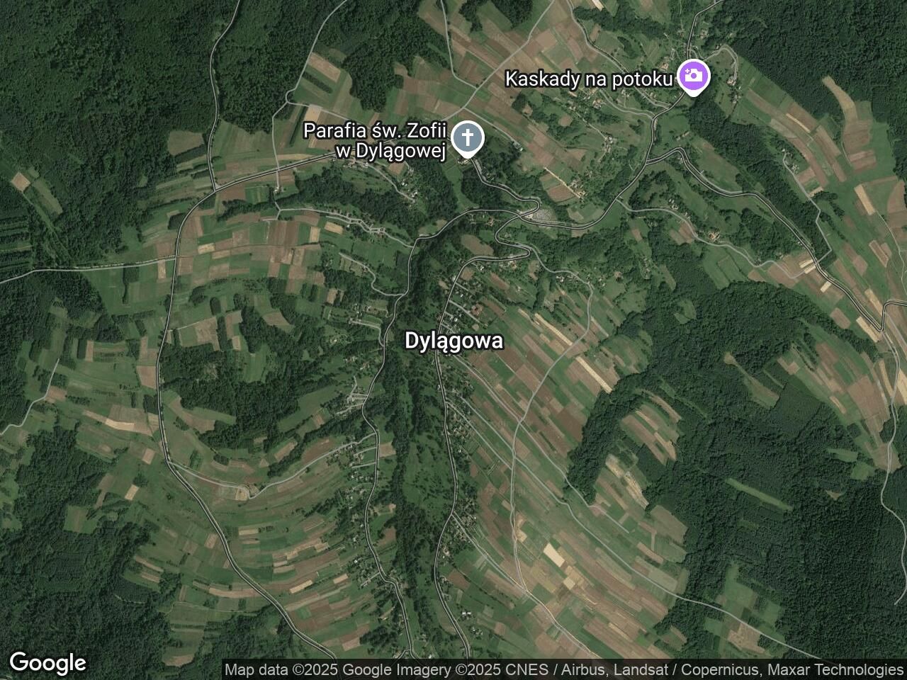 Działka leśna Dylągowa