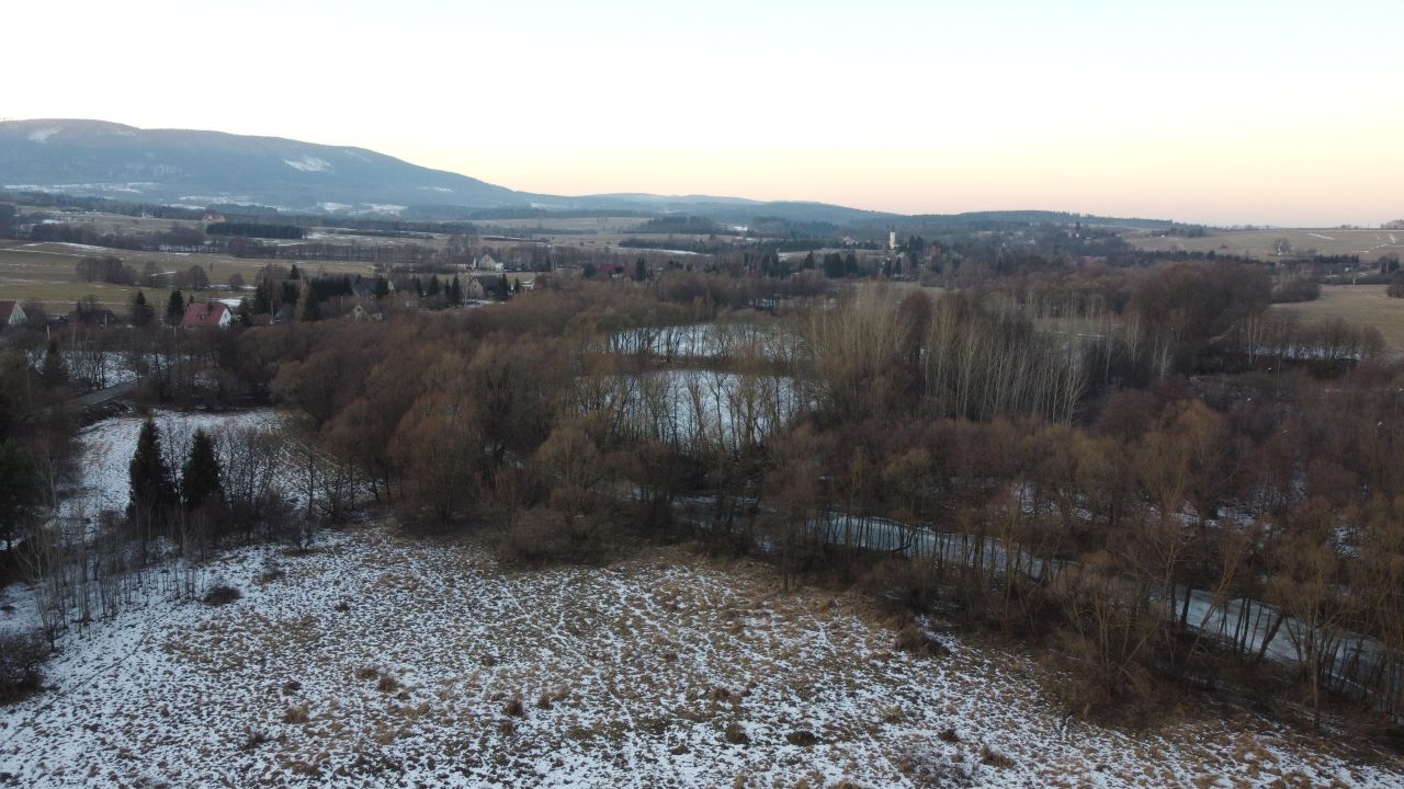 Działka inwestycyjna Domaszków, Górska działka z potencjałem – okolice Śnieżnika. Zdjęcie 6