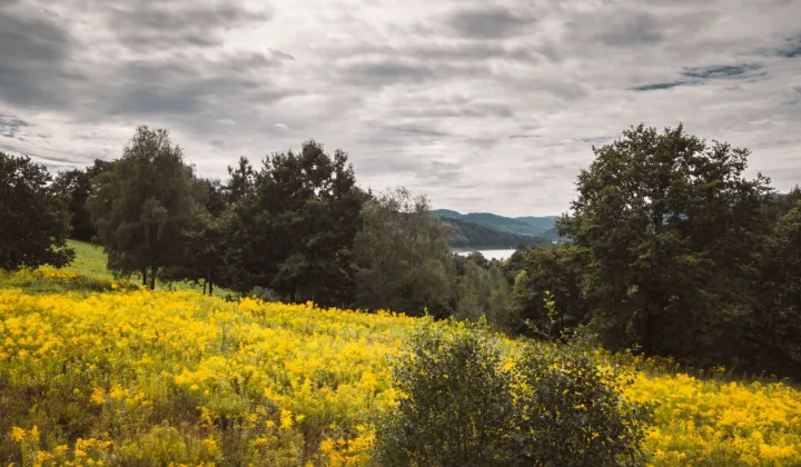 Działka budowlana Łękawica Mostki