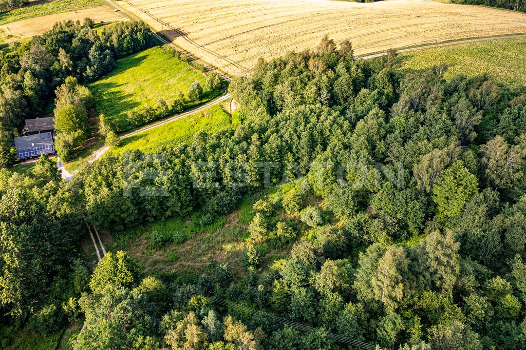 Działka rolna Nowy Borek. Zdjęcie 9