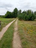 Działka budowlana Stare Krasnodęby. Zdjęcie 3