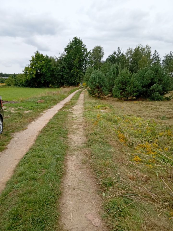 Działka budowlana Stare Krasnodęby. Zdjęcie 4