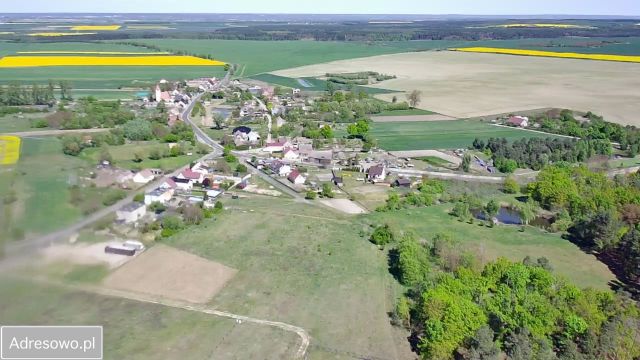 Działka rolno-budowlana Laski Lubuskie. Zdjęcie 1