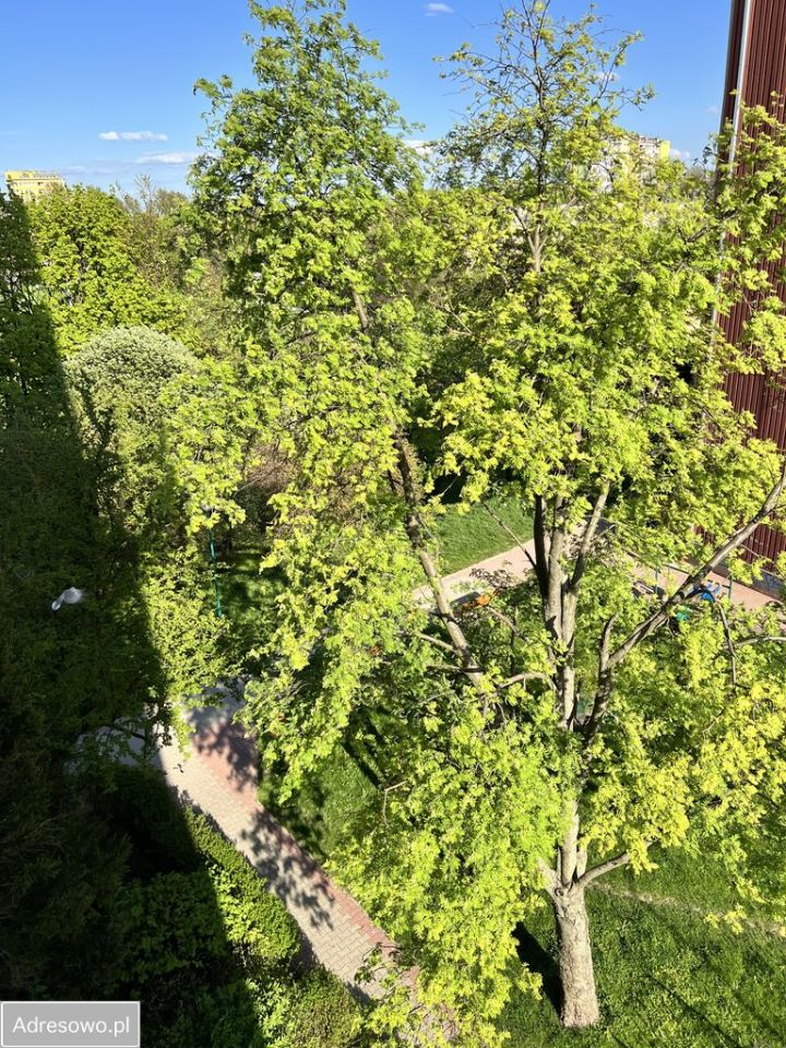 Mieszkanie 3-pokojowe Lublin Kalinowszczyzna, ul. Stefana Okrzei. Zdjęcie 8