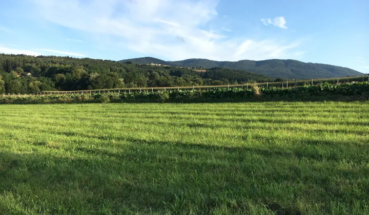 Działka budowlana Kierlikówka Orzechówka