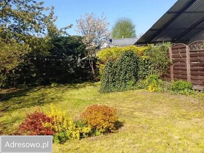 Działka rod Szczodrochowo. Zdjęcie 11