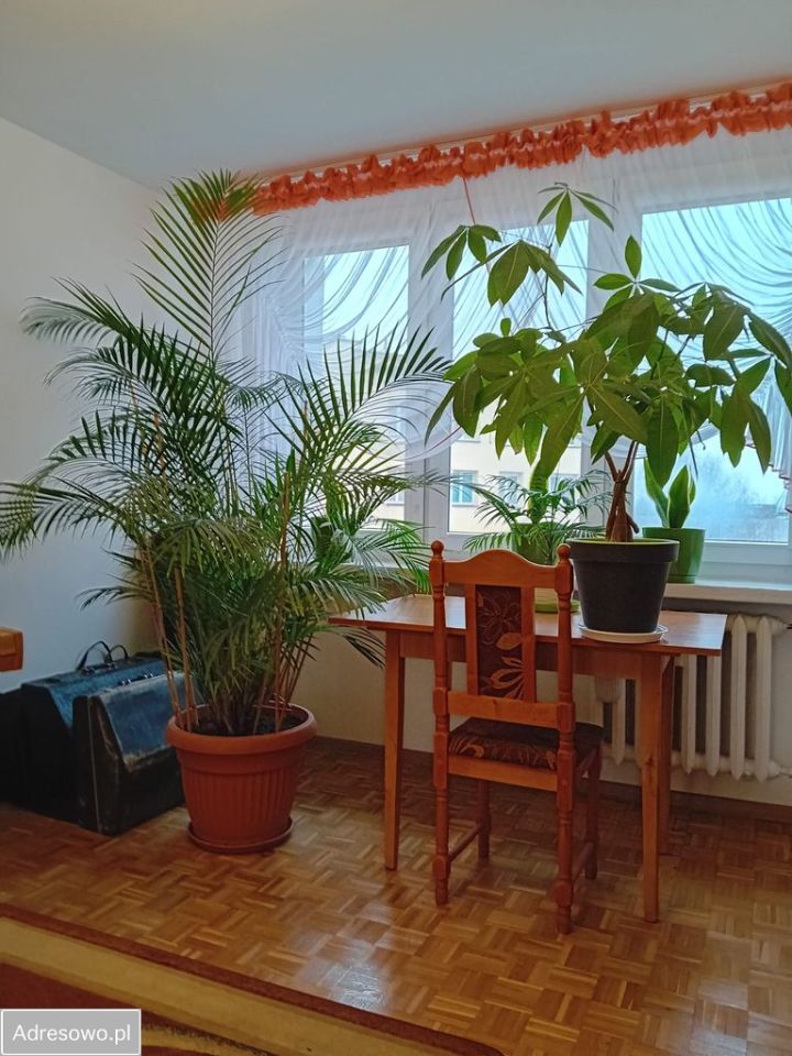 Mieszkanie 3-pokojowe Ciechocinek, ul. Osiedlowa. Zdjęcie 3