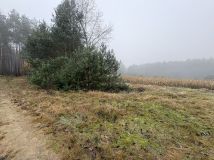 Działka rolna Krzepczów. Zdjęcie 3