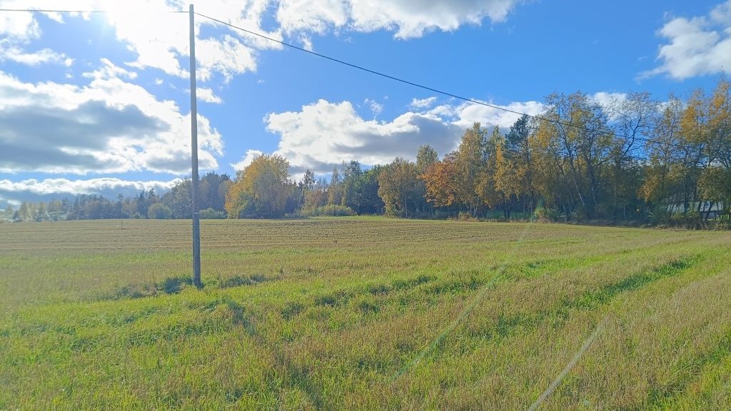 Działka rolna Błotnia. Zdjęcie 5