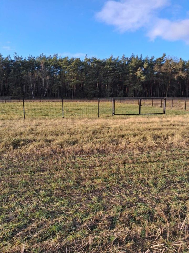 Działka budowlana Zosinki. Zdjęcie 2