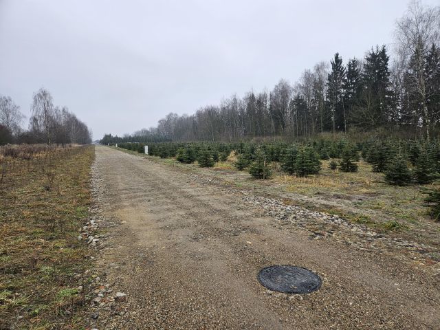 Działka budowlana Skierniewice Centrum, ul. Nowomiejska. Zdjęcie 7