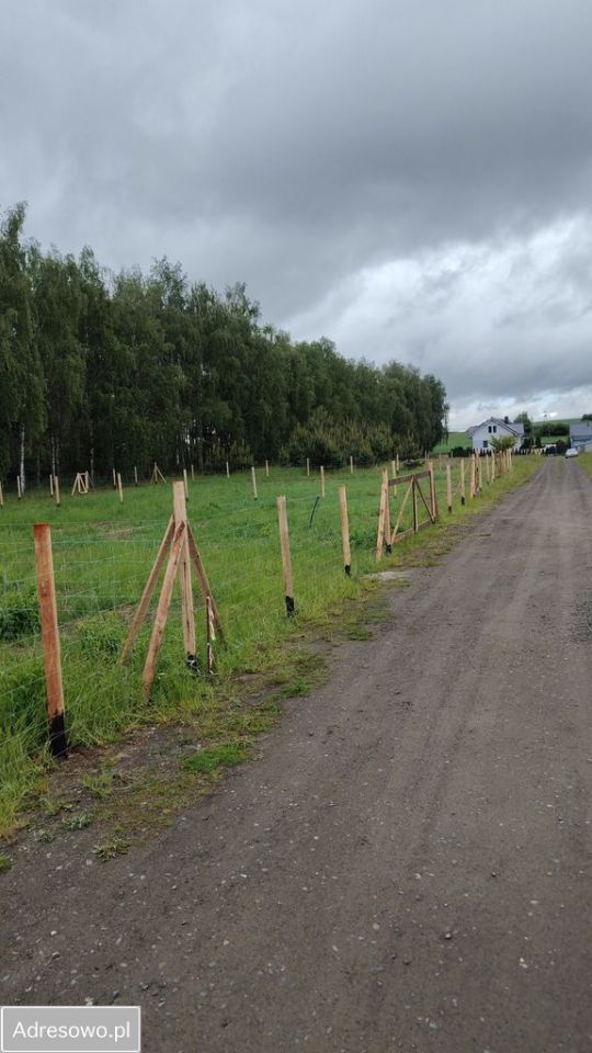 Działka budowlana Siedlec, ul. Przylesie. Zdjęcie 9