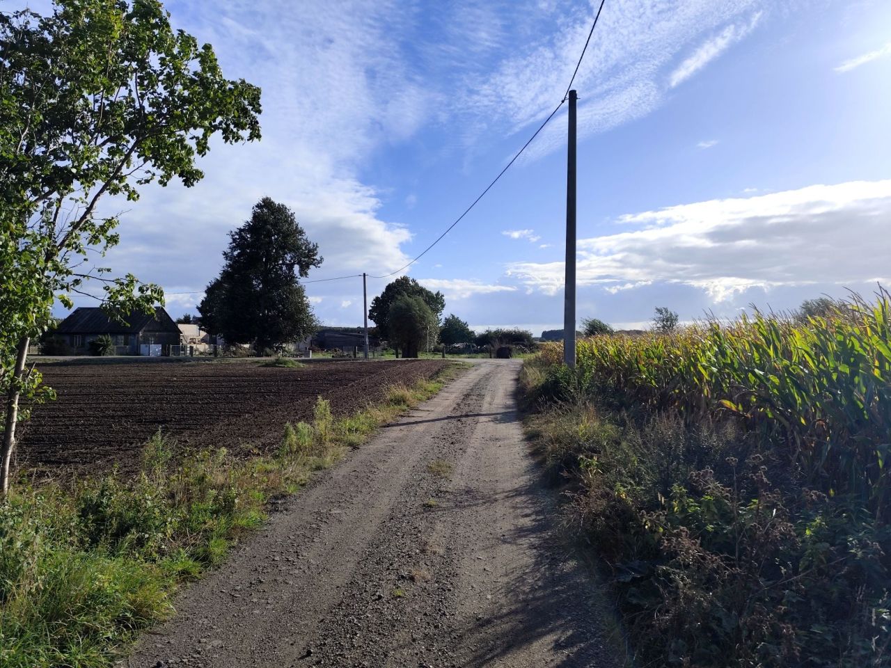 Działka budowlana Pobiedziska. Zdjęcie 14