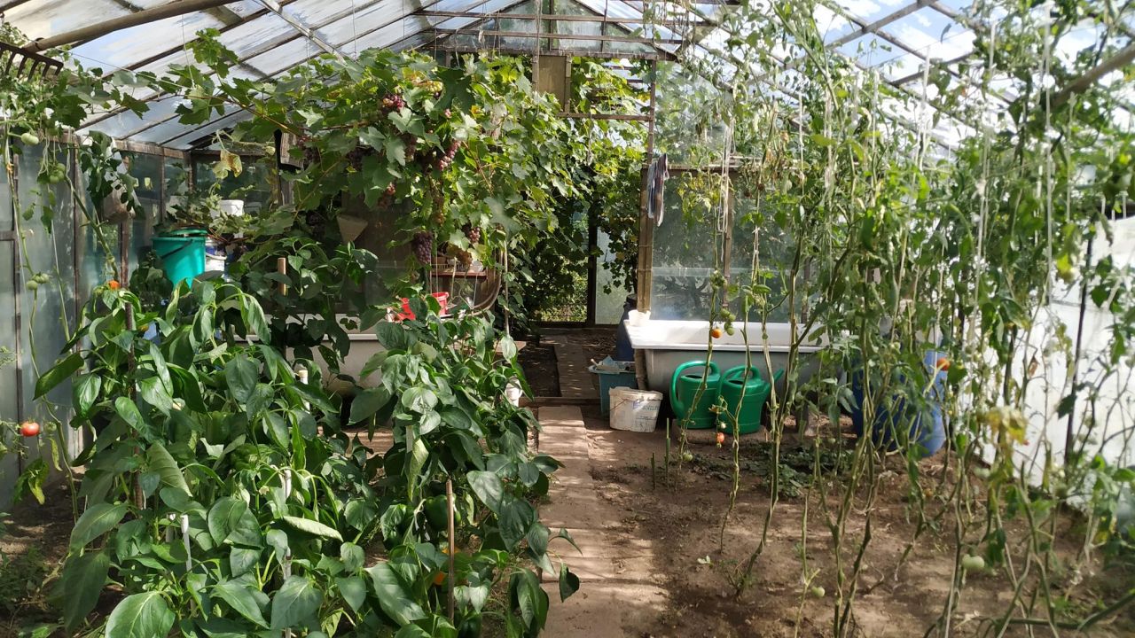 Działka rod Piła Gładyszewo, ul. Polna. Zdjęcie 10