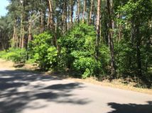 Działka budowlana Wilcze Tułowskie. Zdjęcie 4