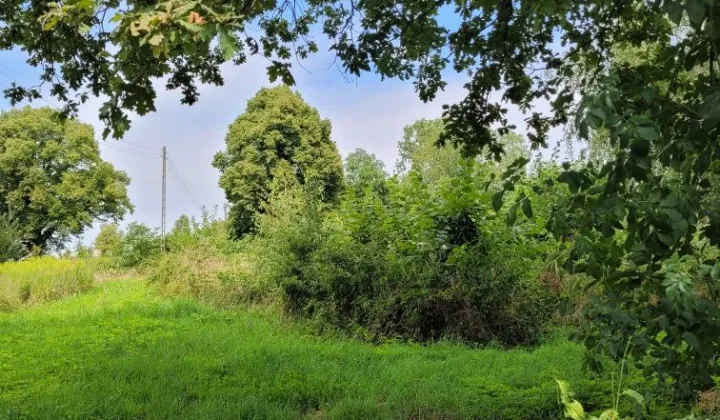 Działka rolno-budowlana Bieniów