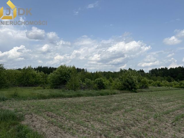 Działka rolna Marysin. Zdjęcie 5