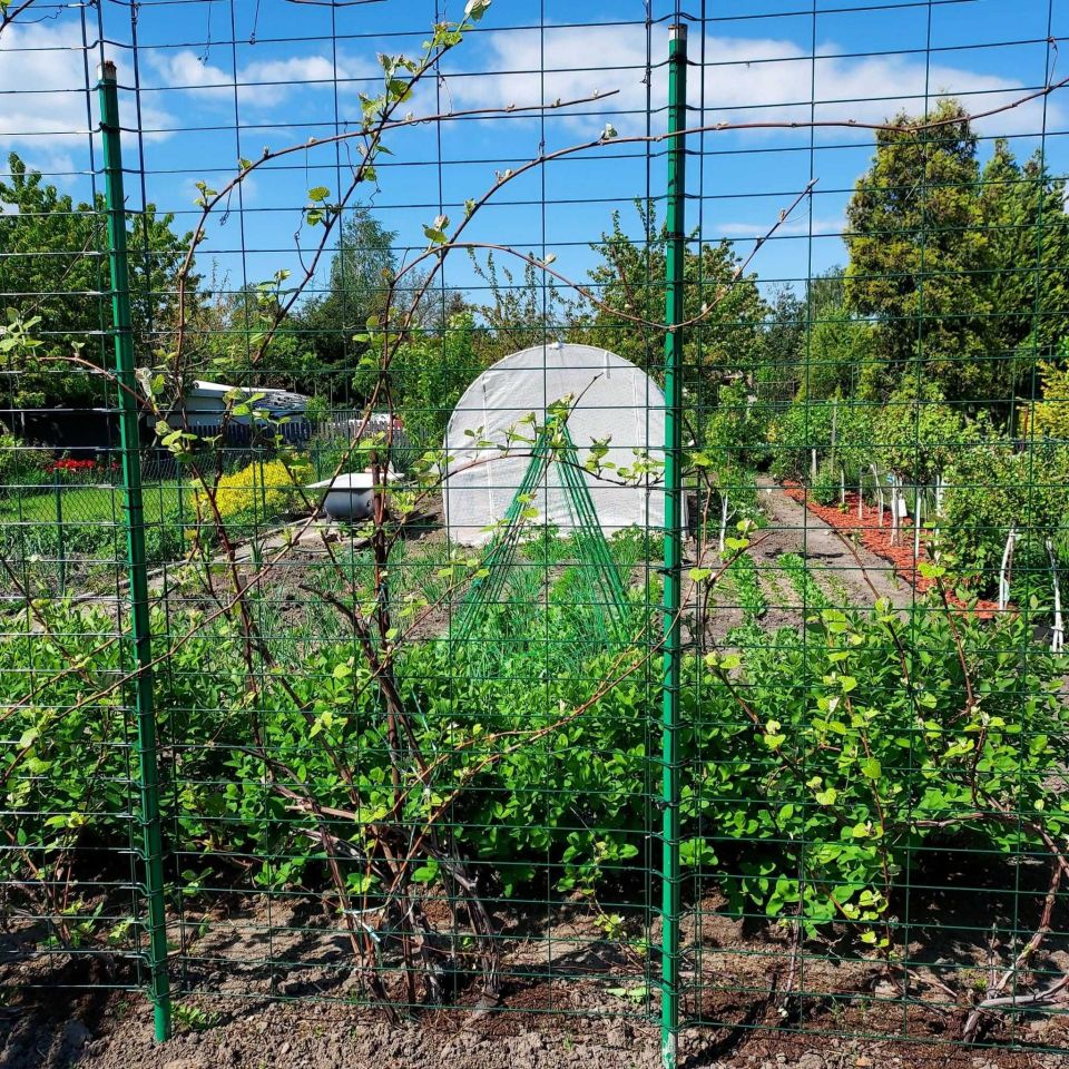 Działka rod Krotoszyn, ul. Polna. Zdjęcie 2