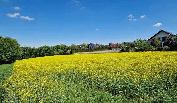 Działka rolno-budowlana Masłomiąca, ul. Spacerowa