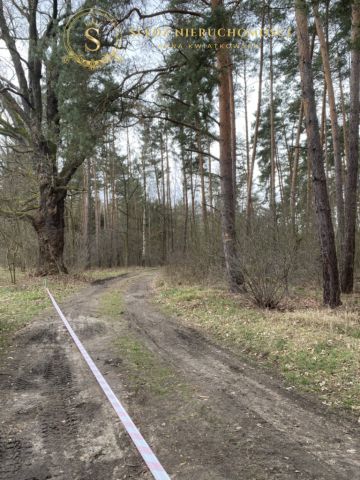 Działka budowlana Straszowice Żychlin. Zdjęcie 14