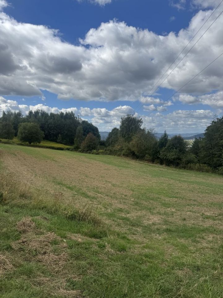 Działka rolna Wróblowice. Zdjęcie 3
