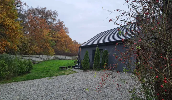 dom wolnostojący Czerniec