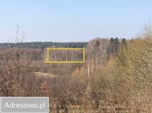 Działka budowlana Olsztyn Osiedle Generałów, ul. Majora Jana Piwnika. Zdjęcie 2