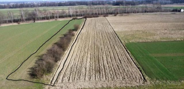 Działka budowlana Przyszowice, ul. Rolna. Zdjęcie 1