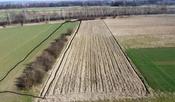 Działka budowlana Przyszowice, ul. Rolna