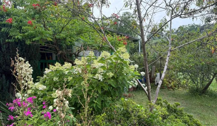 Działka rod Zielona Góra Jędrzychów