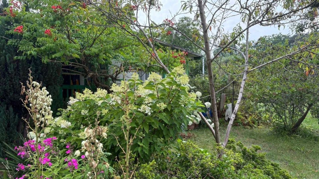 Działka rod Zielona Góra Jędrzychów