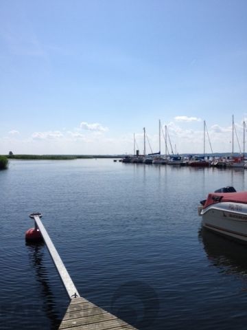 Działka rekreacyjna Lubczyna, ul. Kasztanowa. Zdjęcie 8