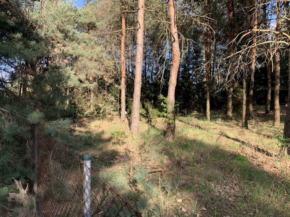 Działka budowlana Chrustne. Zdjęcie 7