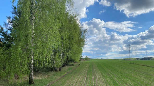 Działka budowlana Przyłęk. Zdjęcie 10