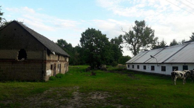 Działka rolno-budowlana Stare Wierzchowo. Zdjęcie 1