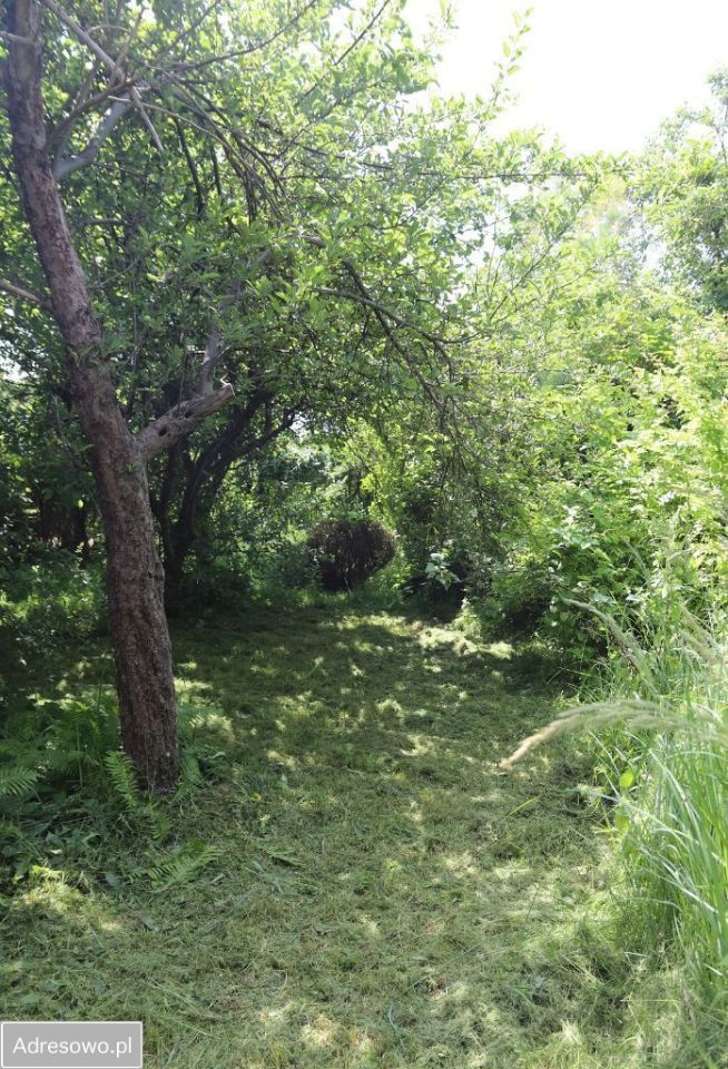 Działka rod Wołomin, ul. Zielona. Zdjęcie 7