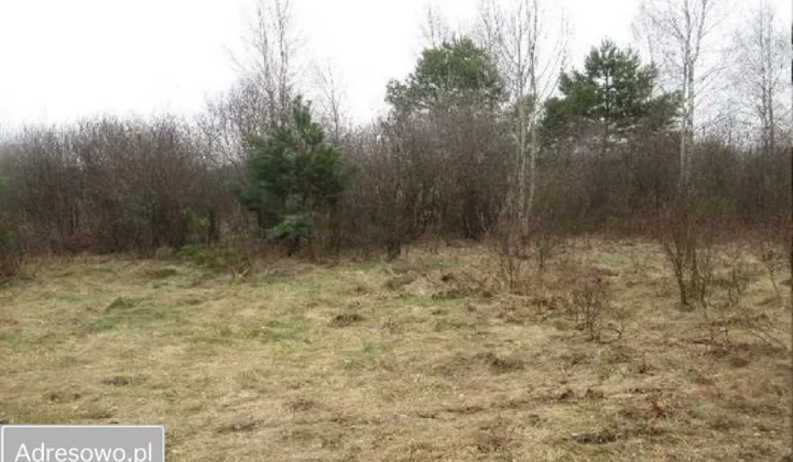 Działka rolna Złotniki