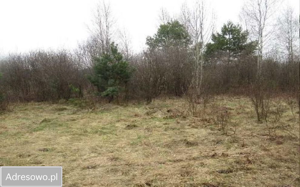 Działka rolna Złotniki