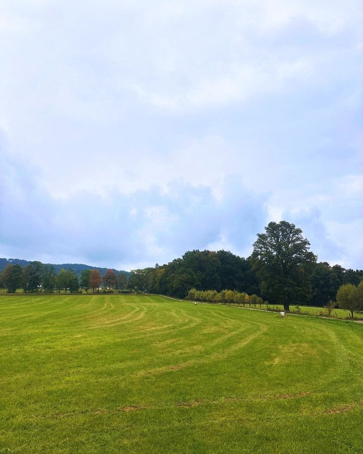 Działka budowlana Janowice Wielkie. Zdjęcie 7