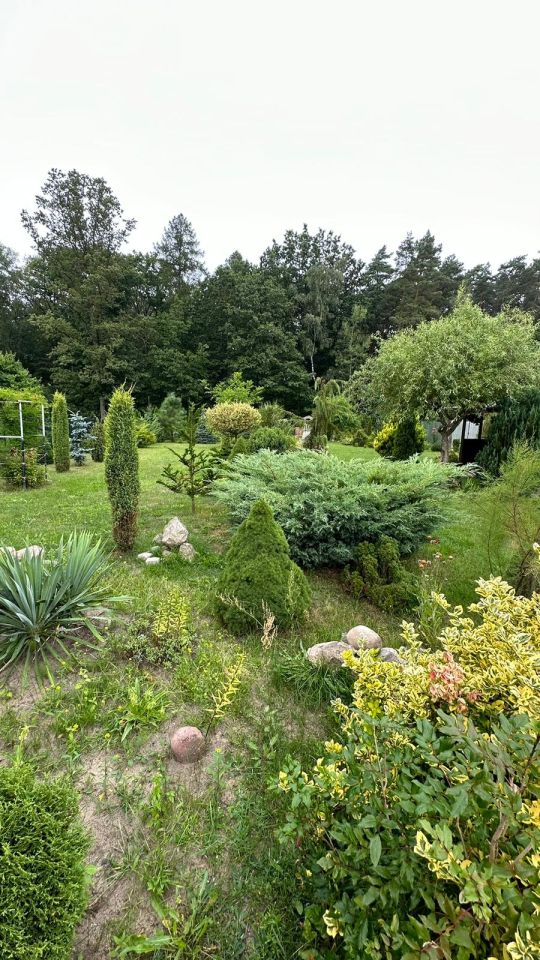 Działka budowlana Świerczyna. Zdjęcie 35