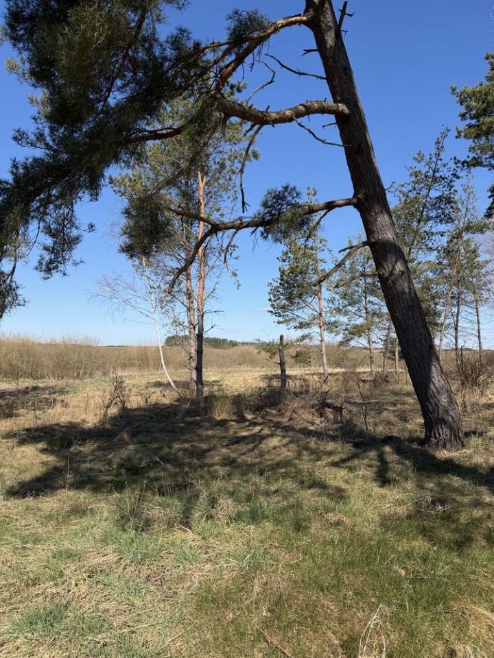 Działka budowlana Michałki. Zdjęcie 1