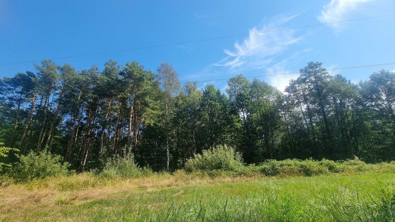 Działka leśna Piaski. Zdjęcie 8