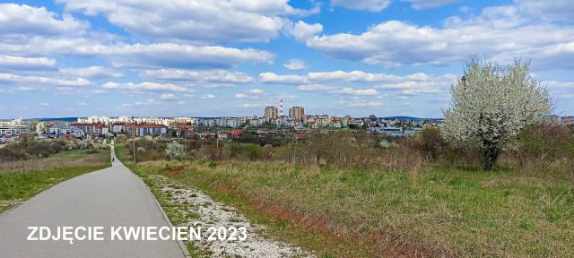 Działka rolno-budowlana Kielce Czarnów, ul. Starowiejska. Zdjęcie 1